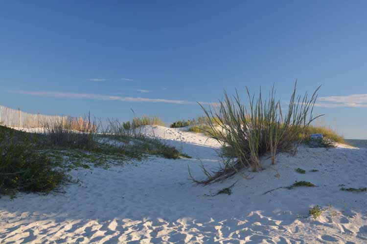 white sand dunes